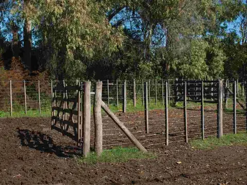 CAMPO VENTA 61 HA GENERAL RODRIGUEZ SOBRE RUTA 24