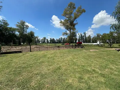 CAMPO VENTA 61 HA GENERAL RODRIGUEZ SOBRE RUTA 24