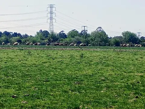 Terreno en Venta en Matheu, USD 17.000