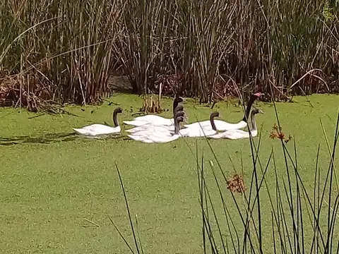 Campo en Venta Turistico