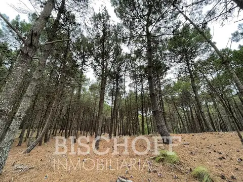 VILLA ROBLES PARTIDO DE LA COSTA