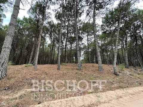 VILLA ROBLES PARTIDO DE LA COSTA