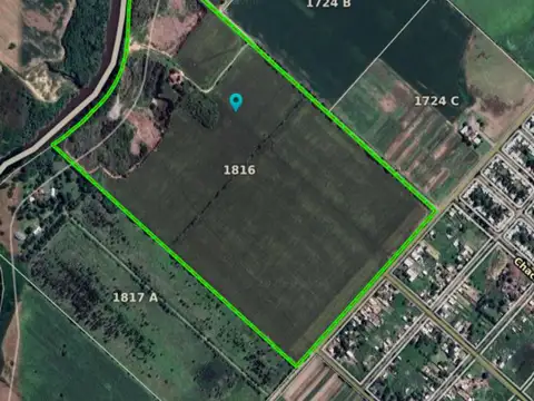 VENTA- 42 HECTAREAS-SAN NICOLAS