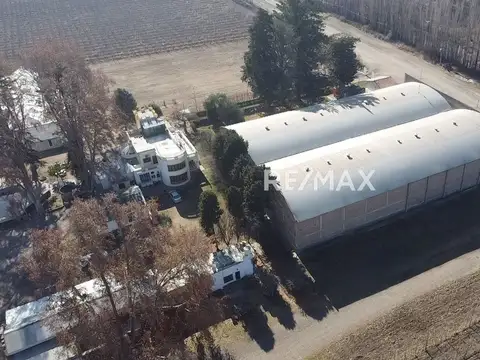 Galpon en Alquiler 12 años