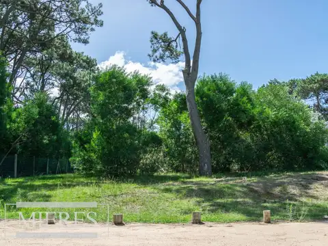 Terreno en Venta de 1000,0 m2