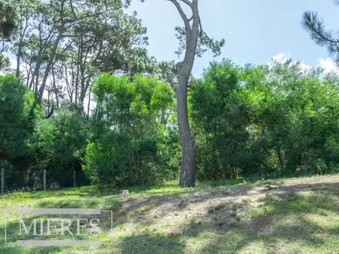 Terreno en Venta de 1000,0 m2