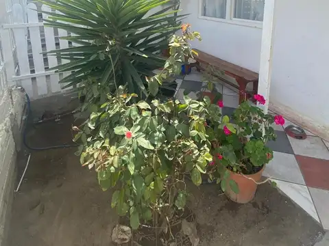 Casa 3 dormitorios - Divina Providencia