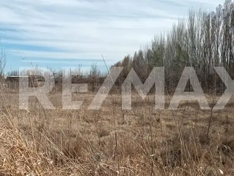 ALQUILER DE TERRENO CON FRENTE RUTA 7