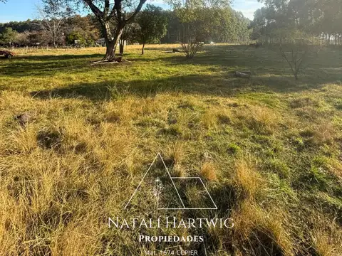 Terreno en Venta de 5000,0 m2