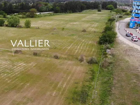 Terreno en Venta de 14745,0 m2