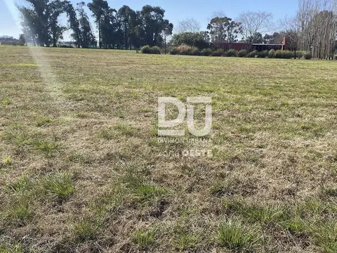 Terreno en Venta de 2000,0 m2