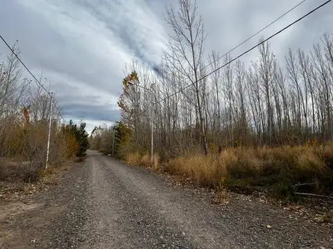 Terreno en Venta en Añelo, USD 330.000