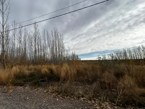 EN VENTA 6 LOTES EN LA FORESTADA, AÑELO, NEUQUEN