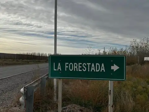 Terreno en Venta de 3240,0 m2