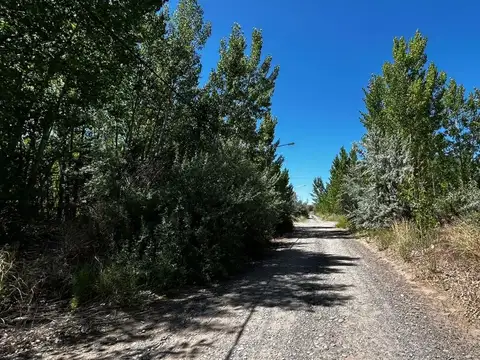 Terreno en Venta en Añelo, USD 330.000