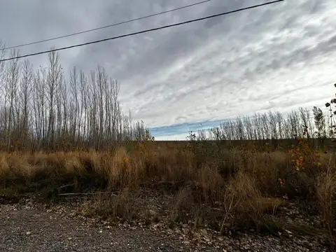 EN VENTA 6 LOTES EN LA FORESTADA, AÑELO, NEUQUEN