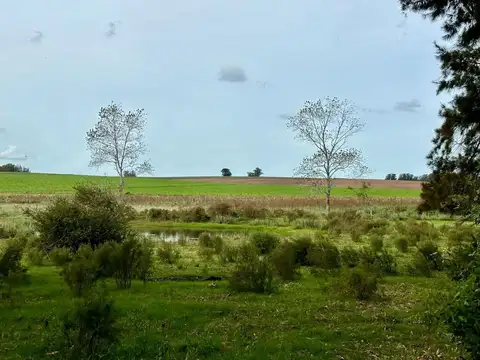 Quinta en Venta en Manantiales, USD 375.000