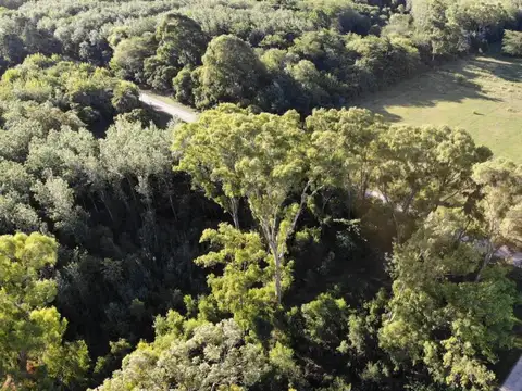 Patricio Brenan y Gorriti , Piso 0
