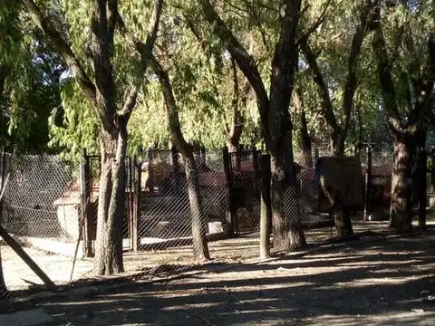 Campo - Exaltacion De La Cruz