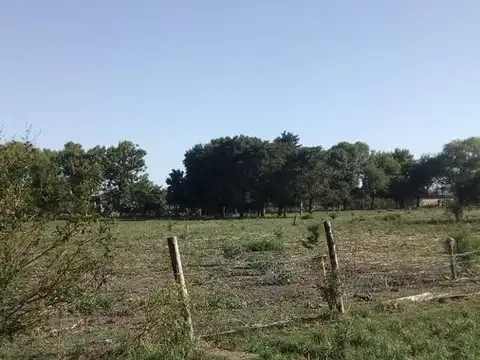 Campo - Exaltacion De La Cruz