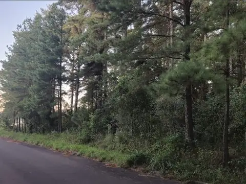 Venta, Campo, 50 hectáreas, Ruta 015, Concordia, área Aeropuerto Internacional