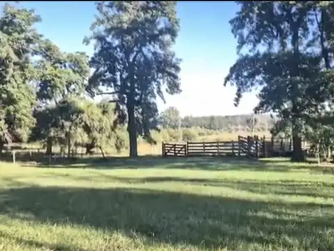 Venta, Campo, 50 hectáreas, Ruta 015, Concordia, área Aeropuerto Internacional