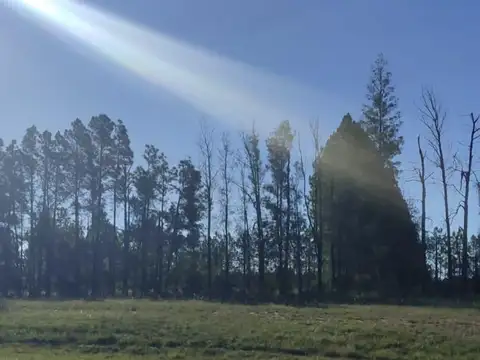 Venta, Campo, 50 hectáreas, Ruta 015, Concordia, área Aeropuerto Internacional