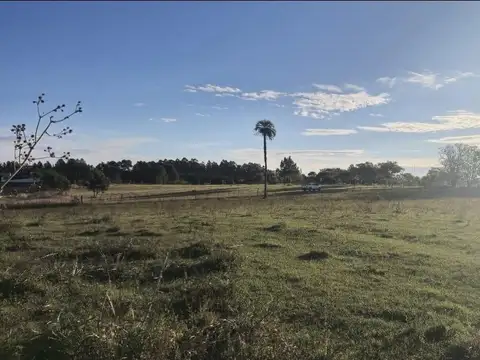 Venta, Campo, 50 hectáreas, Ruta 015, Concordia, área Aeropuerto Internacional