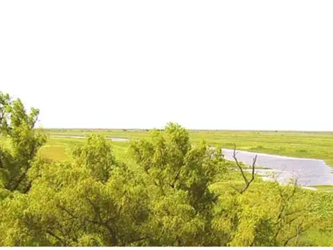 CAMPO ISLA 2300 HA A LA VENTA - GANADERO - FRENTE VILLA CONSTITUCION - SANTA FE
