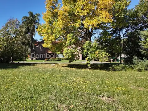 Country  Club San Diego - Moreno 100