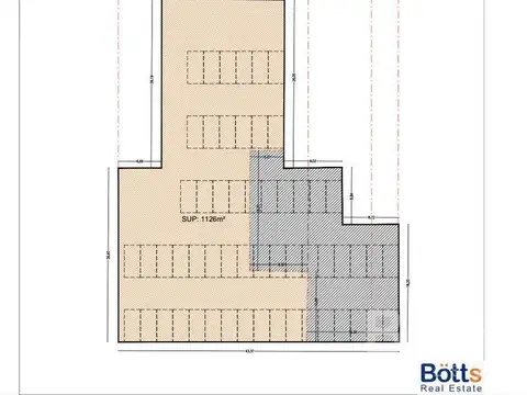 Luis Sáenz Peña y Carlos Calvo