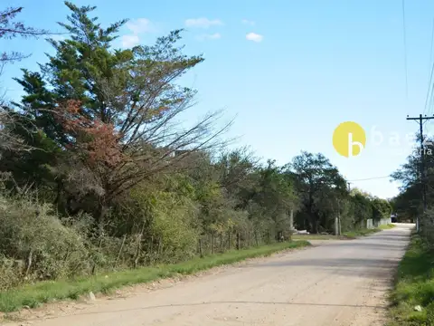 Terreno en Venta de 780,0 m2