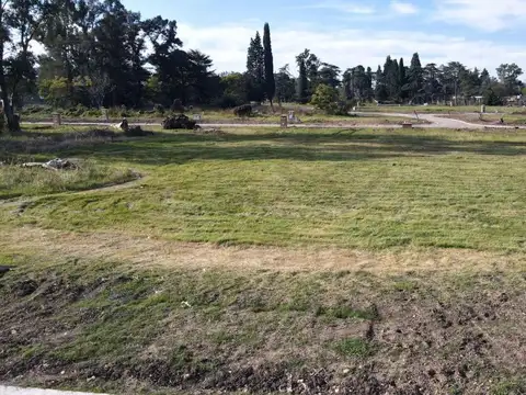 Terreno en Venta en Pilar Del Este, USD 43.000