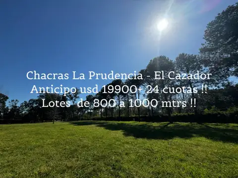 LOTE EL CAZADOR ESCOBAR