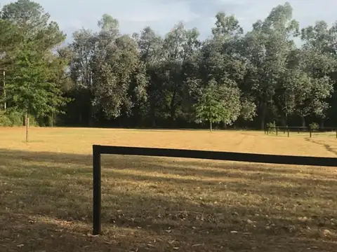 Terreno en Venta de 1000,0 m2