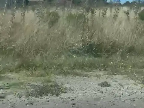 Terreno en Venta 30  mts Frente