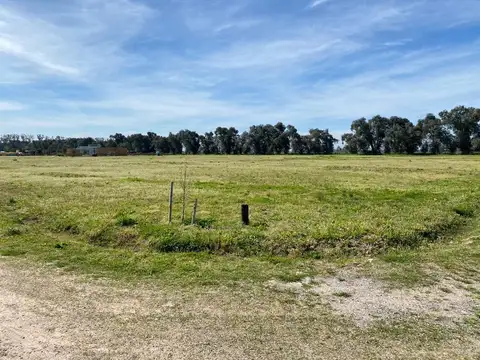 Terreno en Venta en Villa Ruiz, USD 26.000