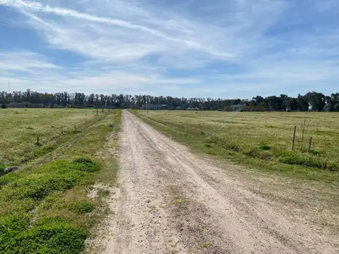 VENTA LOTE EN CHACRAS DE SAN ANDRÉS 2.900m2