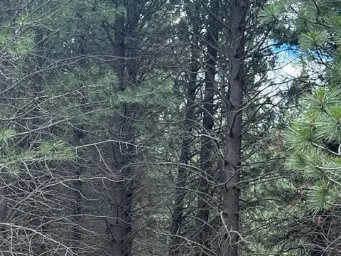 VENTA LOTE EN EL DESAFIO SAN MARTIN DE LOS ANDES