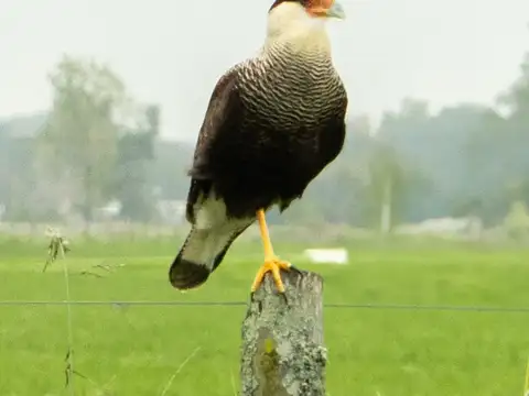 Terreno en Venta de 2700,0 m2