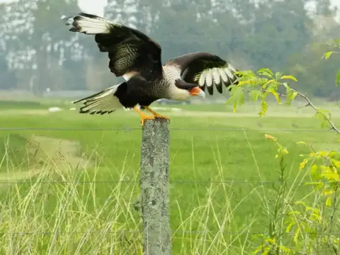 URIBELARREA-AMPLIO LOTE EN BARRIO ABIERTO PRADERAS DE URIBELARREA