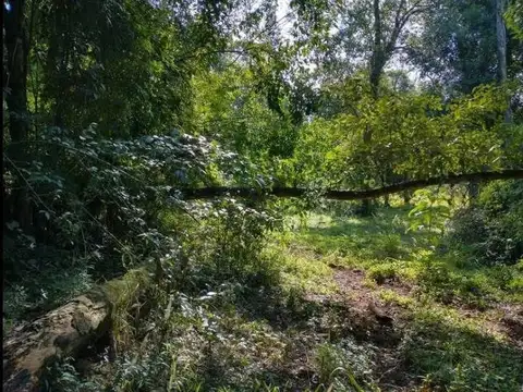 Venta, Lotes, Barrio Abierto, Loma verde, Concordia, Entre Ríos