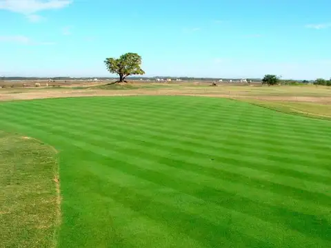 Terreno en Venta de 882,0 m2