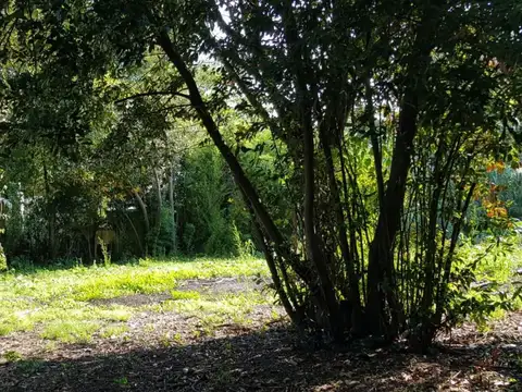 Casa - Alquiler - Argentina, La Matanza - INT. FEDERICO PEDRO RUSSO 4359