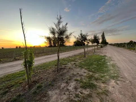 Terreno en Venta en Lobos, USD 60.000