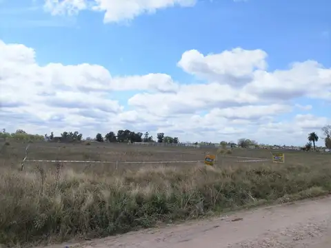 Terreno en Venta 36  mts Fondo