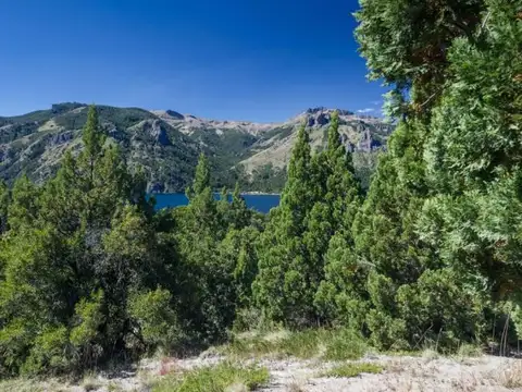 FABIENNE EDELBERG FE Propiedades VENTA 4 HECTAREAS EN LAGO MELIQUINA