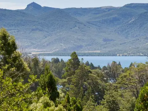 4 HECTAREAS MELIQUINA Ruta 63 10