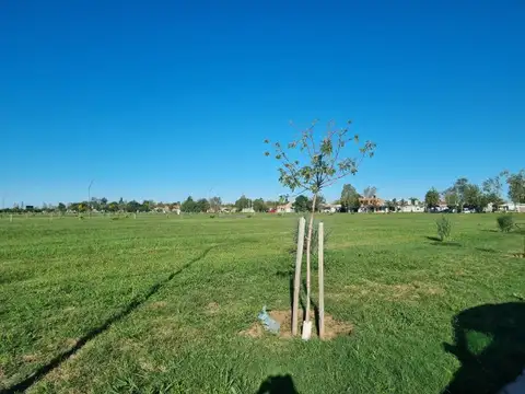 Terreno en Venta 30  mts Fondo