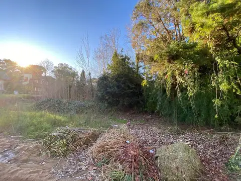 Coronel de Marina C. Fournier